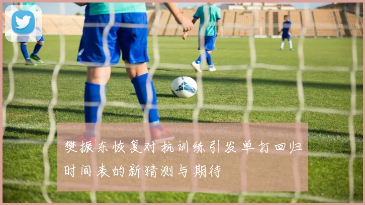 樊振东恢复对抗训练引发单打回归时间表的新猜测与期待