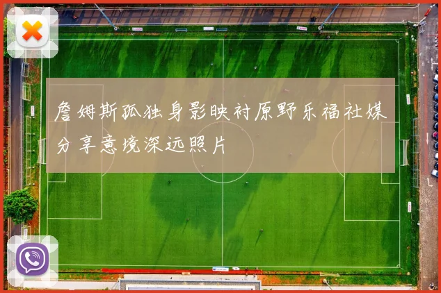 詹姆斯孤独身影映衬原野乐福社媒分享意境深远照片