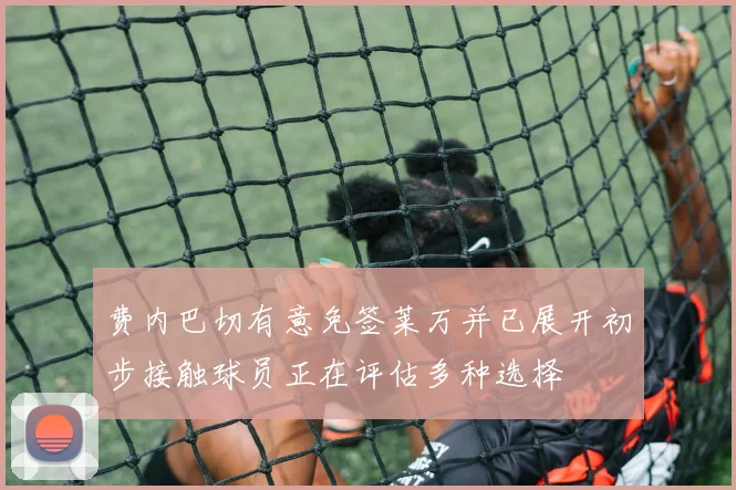 费内巴切有意免签莱万并已展开初步接触球员正在评估多种选择